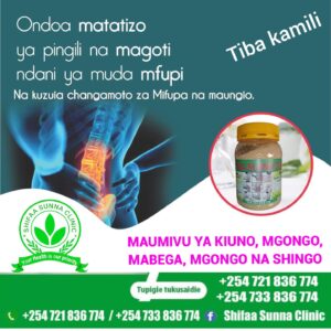 SULUHISHO LA MGONGO